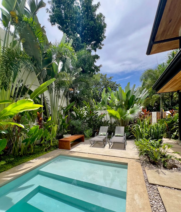 Salt water pool surrounded by traveler palms and cactus